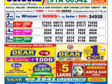 Lottery Result Today March 3, 2024