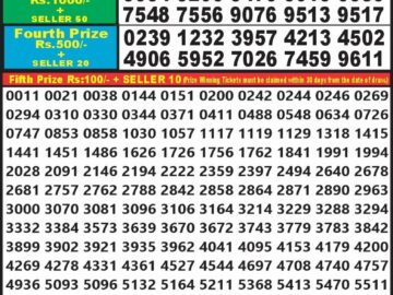 Lottery Result Today March 11, 2024