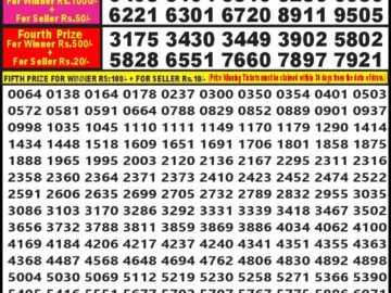 Lottery Result Today March 11, 2024