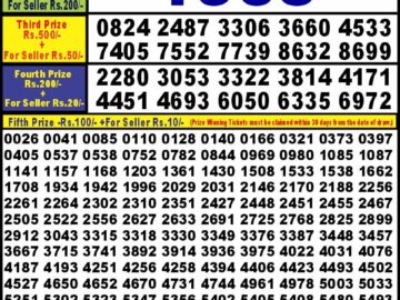 Lottery Result Today March 14, 2024