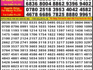 Lottery Result Today March 15, 2024