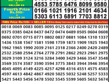 Lottery Result Today March 17, 2024