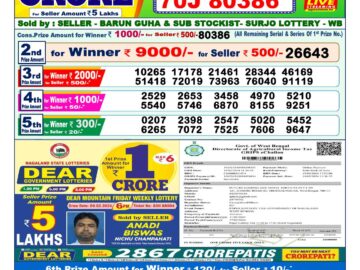 Lottery Result Today March 11, 2024