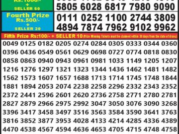 Lottery Result Today March 2, 2024