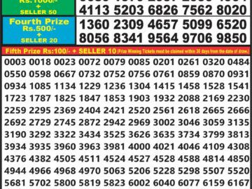 Lottery Result Today March 3, 2024