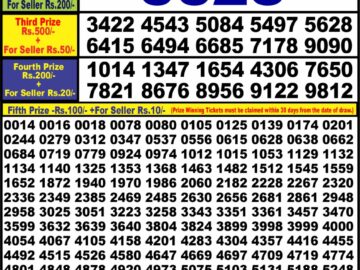 Lottery Result Today March 3, 2024