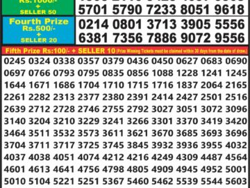 Lottery Result Today March 5, 2024