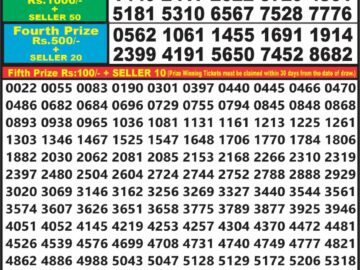 Lottery Result Today March 8, 2024