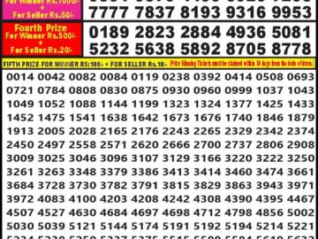 Lottery Result Today March 12, 2024