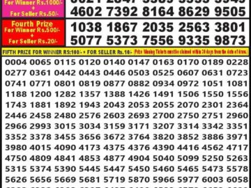 Lottery Result Today March 20, 2024