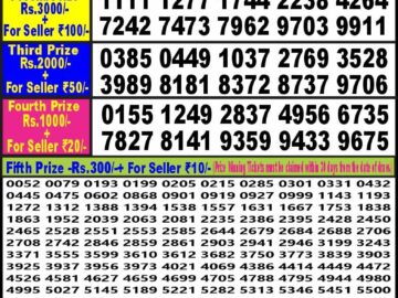 Lottery Result Today March 25, 2024