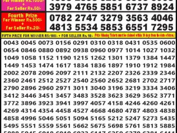 Lottery Result Today March 25, 2024