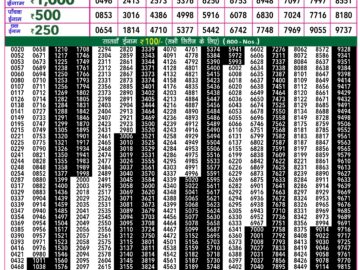 Lottery Result Today March 21, 2024