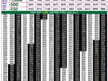 Lottery Result Today March 19, 2024