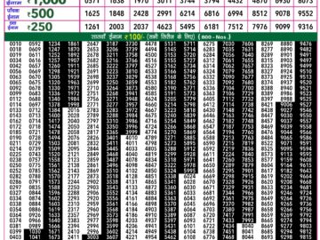 Lottery Result Today March 3, 2024