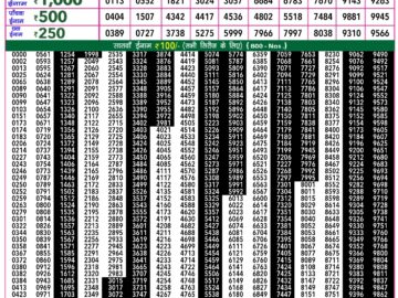 Lottery Result Today March 25, 2024