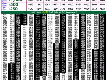 Lottery Result Today March 2, 2024