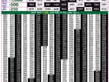 Lottery Result Today March 30, 2024