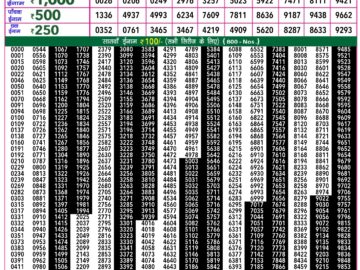 Lottery Result Today March 22, 2024