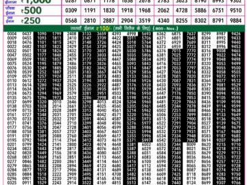 Lottery Result Today March 11, 2024