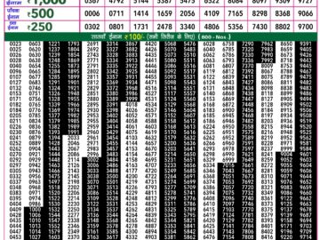 Lottery Result Today March 25, 2024