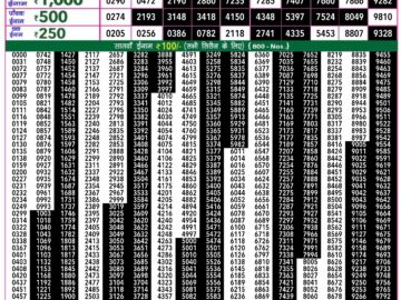 Lottery Result Today April 25, 2024