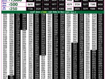 Lottery Result Today April 29, 2024