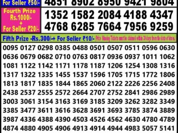 Lottery Result Today April 28, 2024