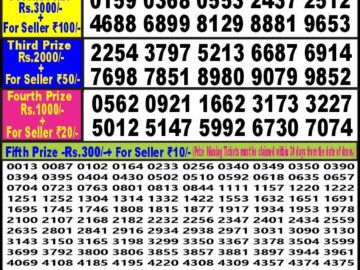 Lottery Result Today April 8, 2024