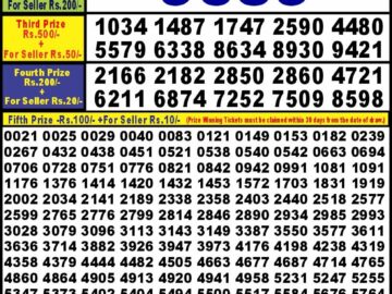 Lottery Result Today April 8, 2024