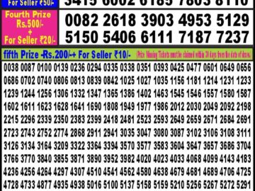 Lottery Result Today April 11, 2024