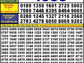 Lottery Result Today April 13, 2024