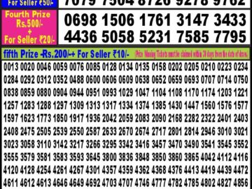 Lottery Result Today April 16, 2024