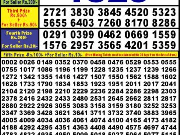 Lottery Result Today April 16, 2024