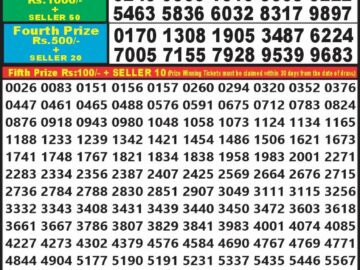 Lottery Result Today April 20, 2024