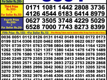 Lottery Result Today April 20, 2024