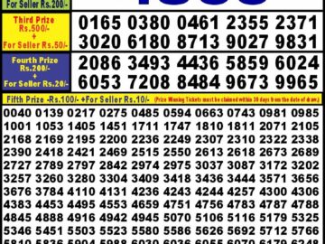 Lottery Result Today April 23, 2024