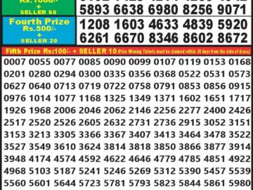 Lottery Result Today April 25, 2024