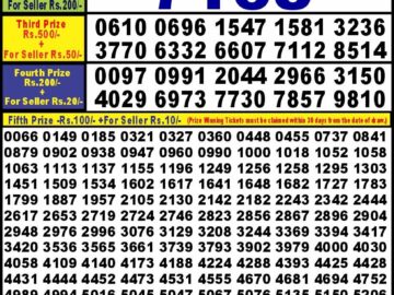 Lottery Result Today April 25, 2024