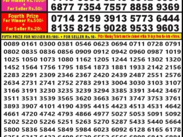 Lottery Result Today April 25, 2024