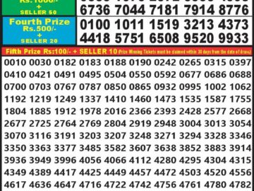 Lottery Result Today April 28, 2024