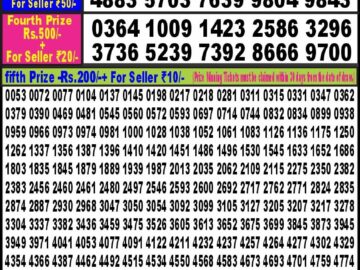 Lottery Result Today April 30, 2024