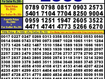 Lottery Result Today April 11, 2024