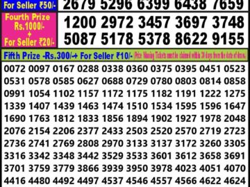 Lottery Result Today April 24, 2024