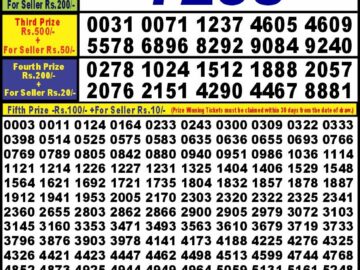 Lottery Result Today April 24, 2024