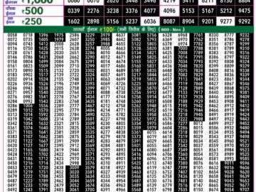 Lottery Result Today April 24, 2024