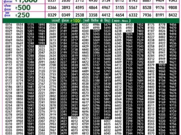 Lottery Result Today April 16, 2024