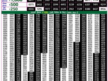 Lottery Result Today April 30, 2024