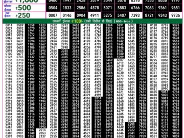 Lottery Result Today April 27, 2024