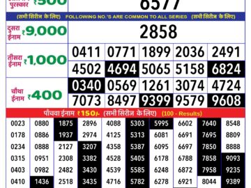 Lottery Result Today April 29, 2024